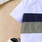 2pcs, Baby Boy's Trendy Short Sleeves Dinosaur Pattern Shirt + Versatile Shorts Set, Casual Comfy Summer Outdoor Clothes - Image 4